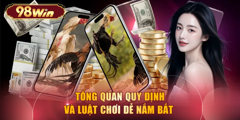 Tổng quan quy định và luật chơi dễ nắm bắt